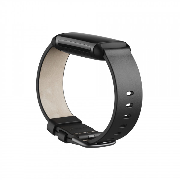 Charge 5 & Charge 6, Leather Band,Black,Large