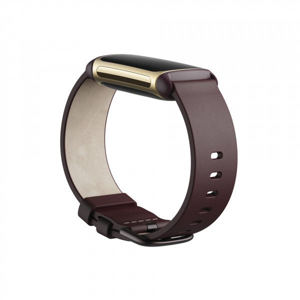 Charge 5, Leather Band,Plum,Small